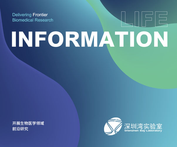 品牌與視覺識別：UCI咨詢公司logo設計項目