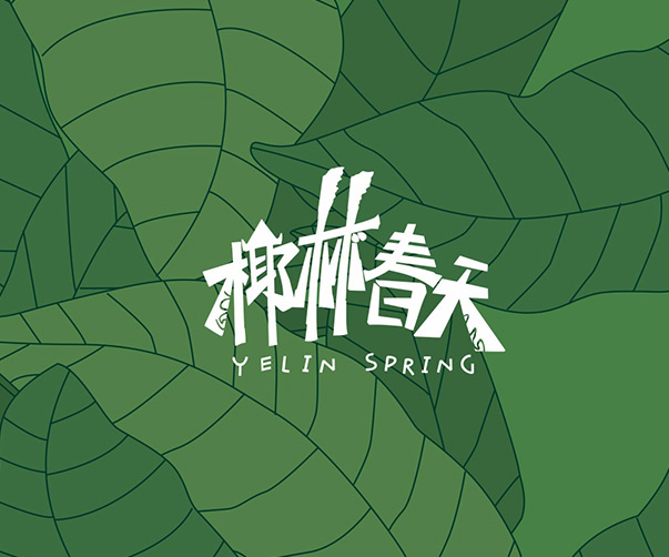 武漢專業VI設計公司_助力企業品牌塑造